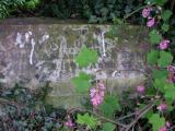 image of grave number 58146